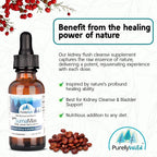 PURELY WILD Sumamax Wild Sumac & Cranberry Concentrate - 2 fl oz - image 6