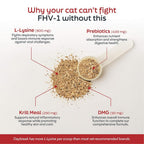 Daybreak Nutrition L-Lysine for Cats and Kittens - 900 mg L Lysine