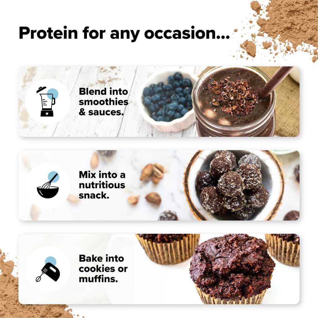 Complement Plant Based Protein Powder