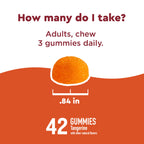 Nature Made Wellblends ImmuneMAX Gummies - 42 Gummies - image 5