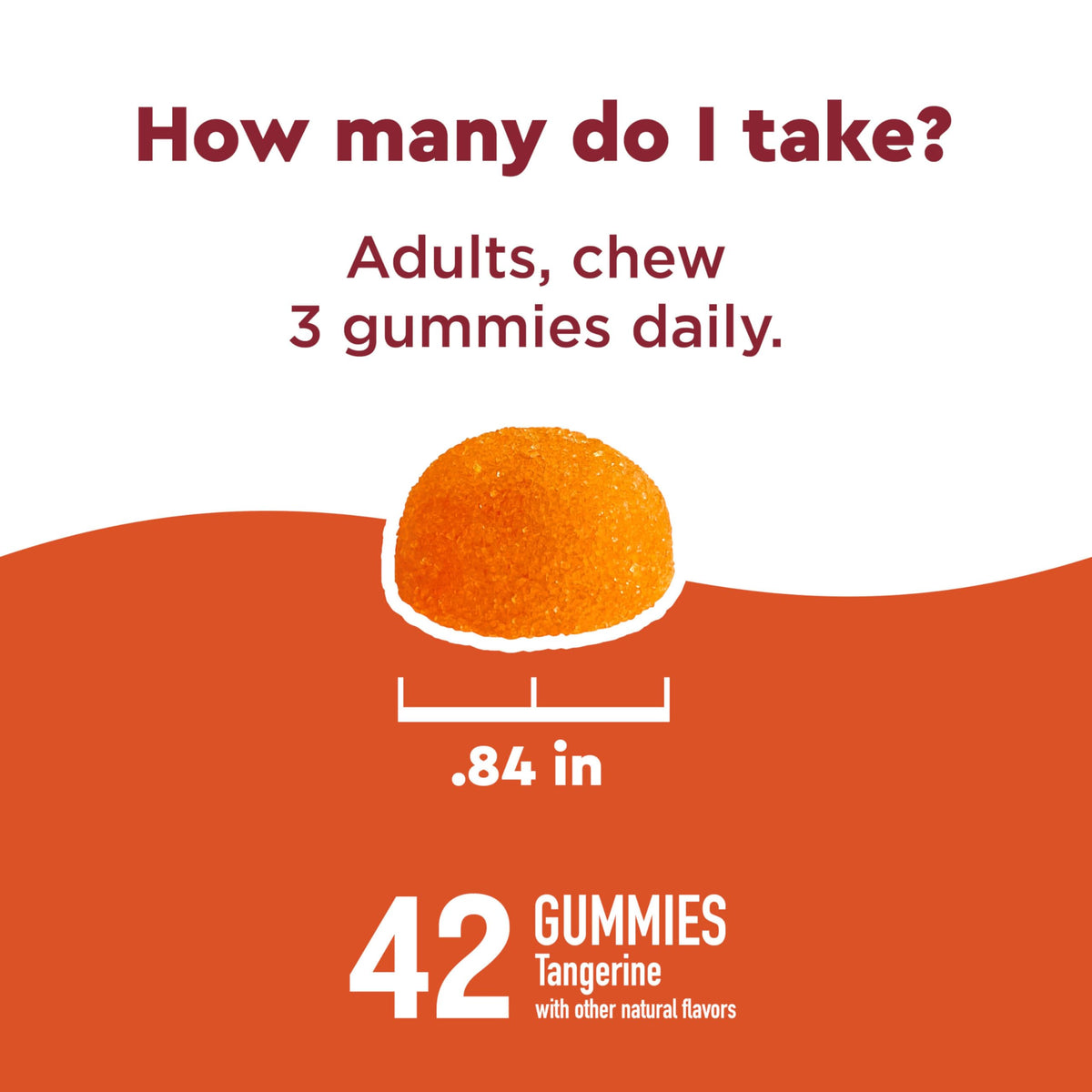 Nature Made Wellblends ImmuneMAX Gummies - 42 Gummies - image 5