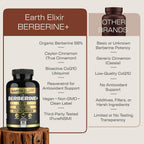 Earth Elixir 4-in-1 Berberine Supplement 1160mg - 180 Capsules - image 4