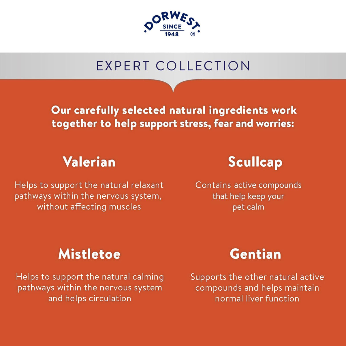 Dorwest Herbs Scullcap and Valerian Tablets for Dogs and Cats - 500 Tablets - image 4
