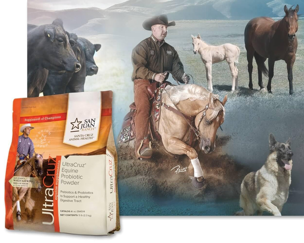 UltraCruz Equine Probiotic Powder - 5 lb - image 4