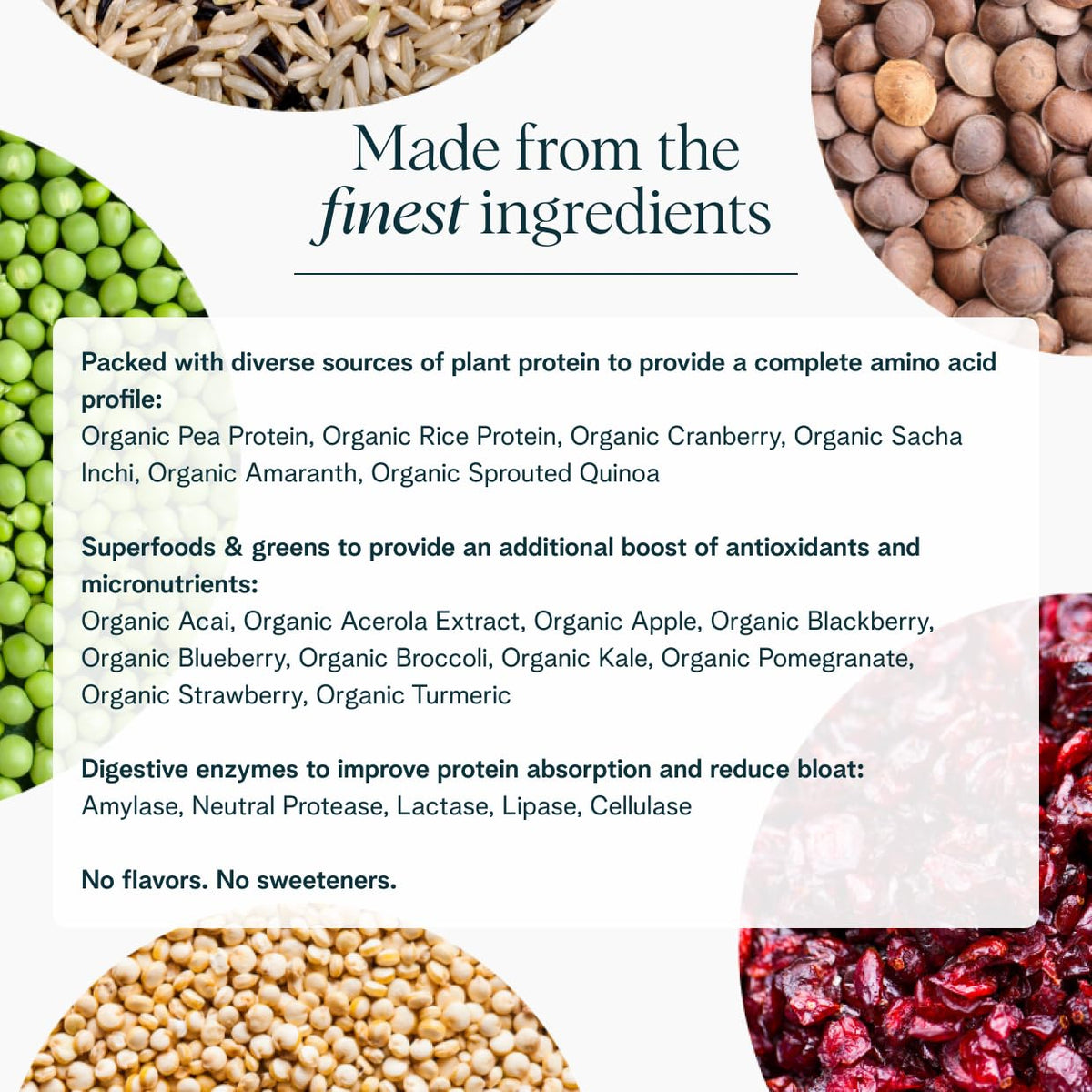 Ora Organic Vegan Protein Powder Unsweetened - 20 Servings - image 3