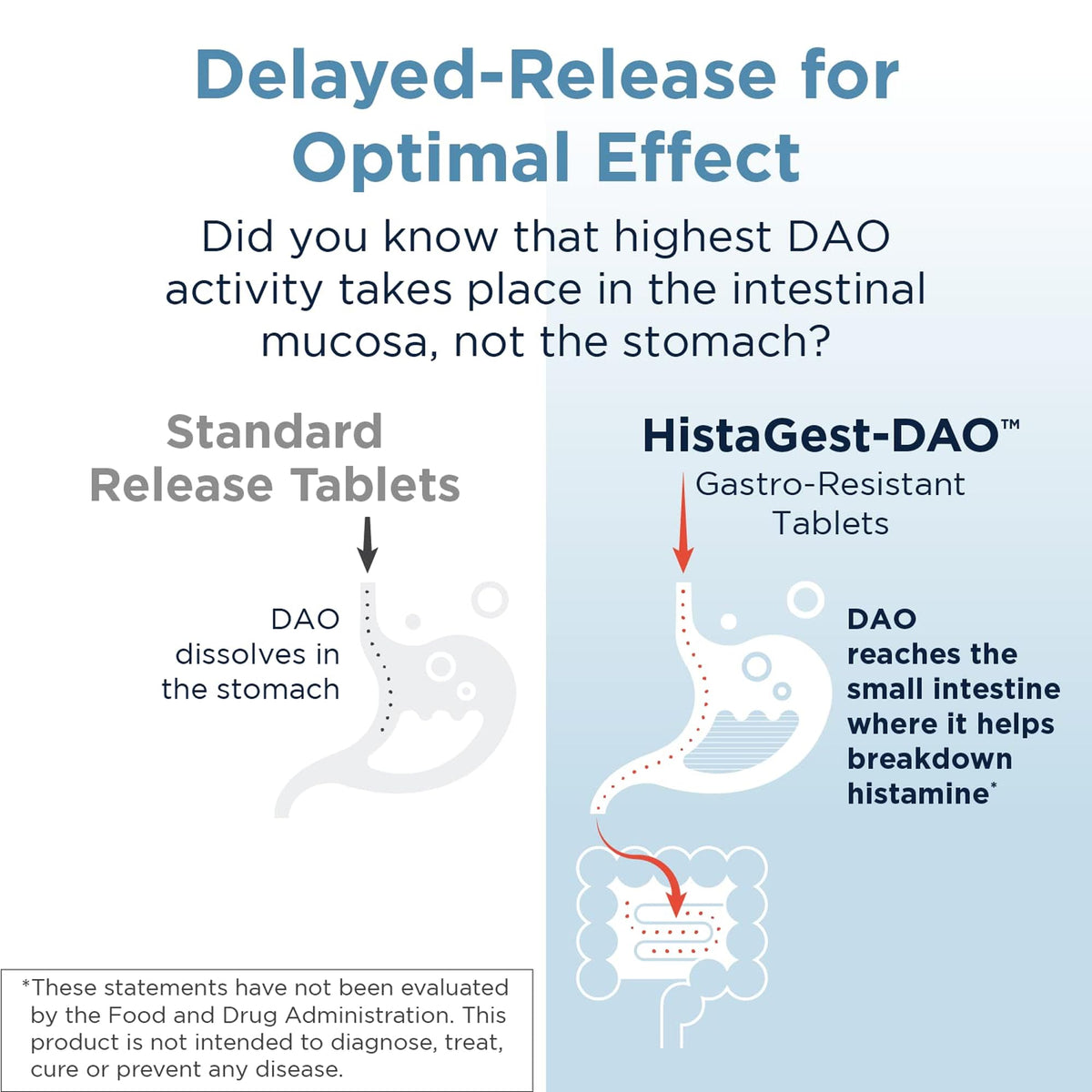 Designs for Health HistaGest-DAO Digestive Enzyme - 60 Tablets - image 4