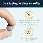 Invigorated Water Hydrogen Water Tablet Parent