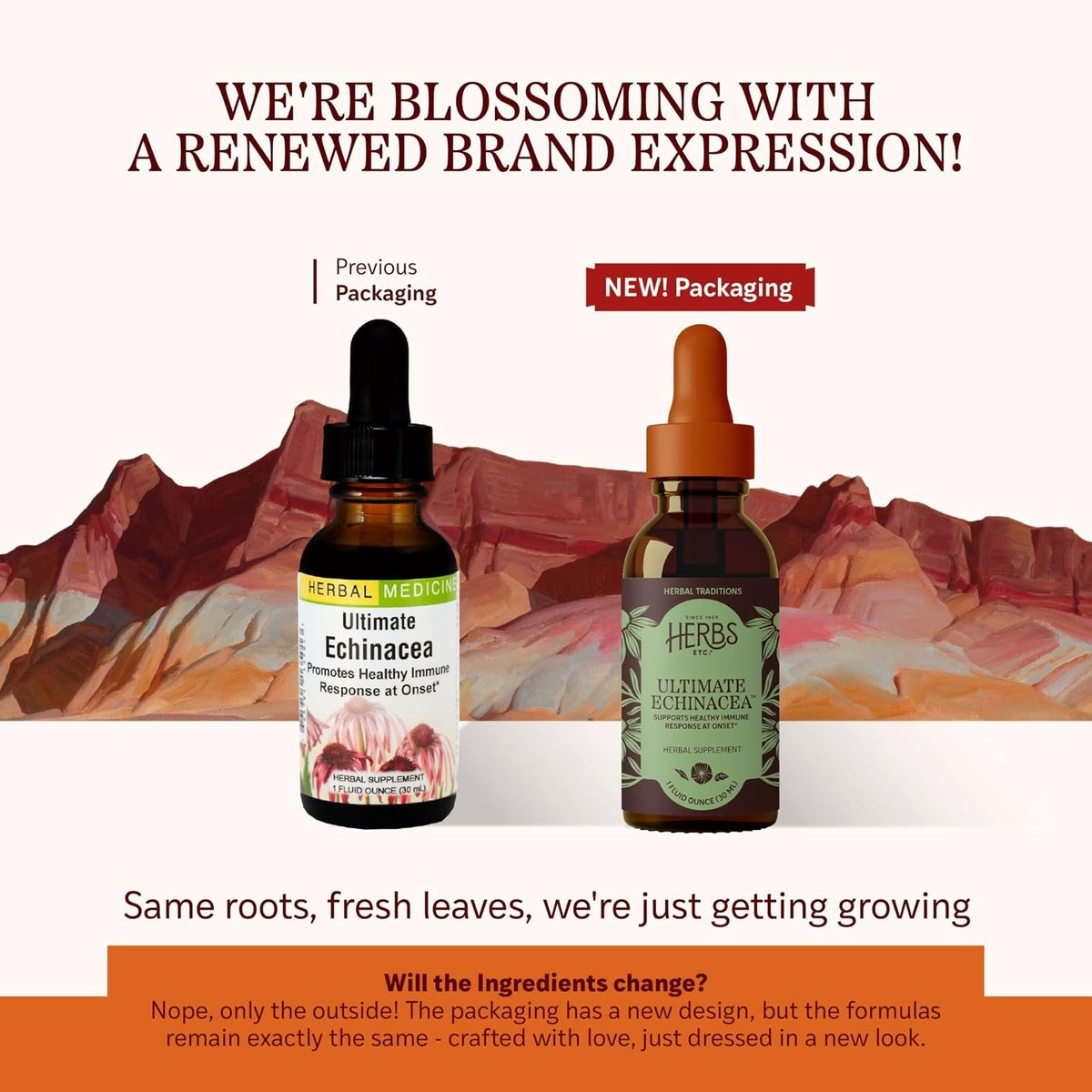 Herbs Etc. Ultimate Echinacea Liquid Extract Immunity - 1 fl oz - image 2