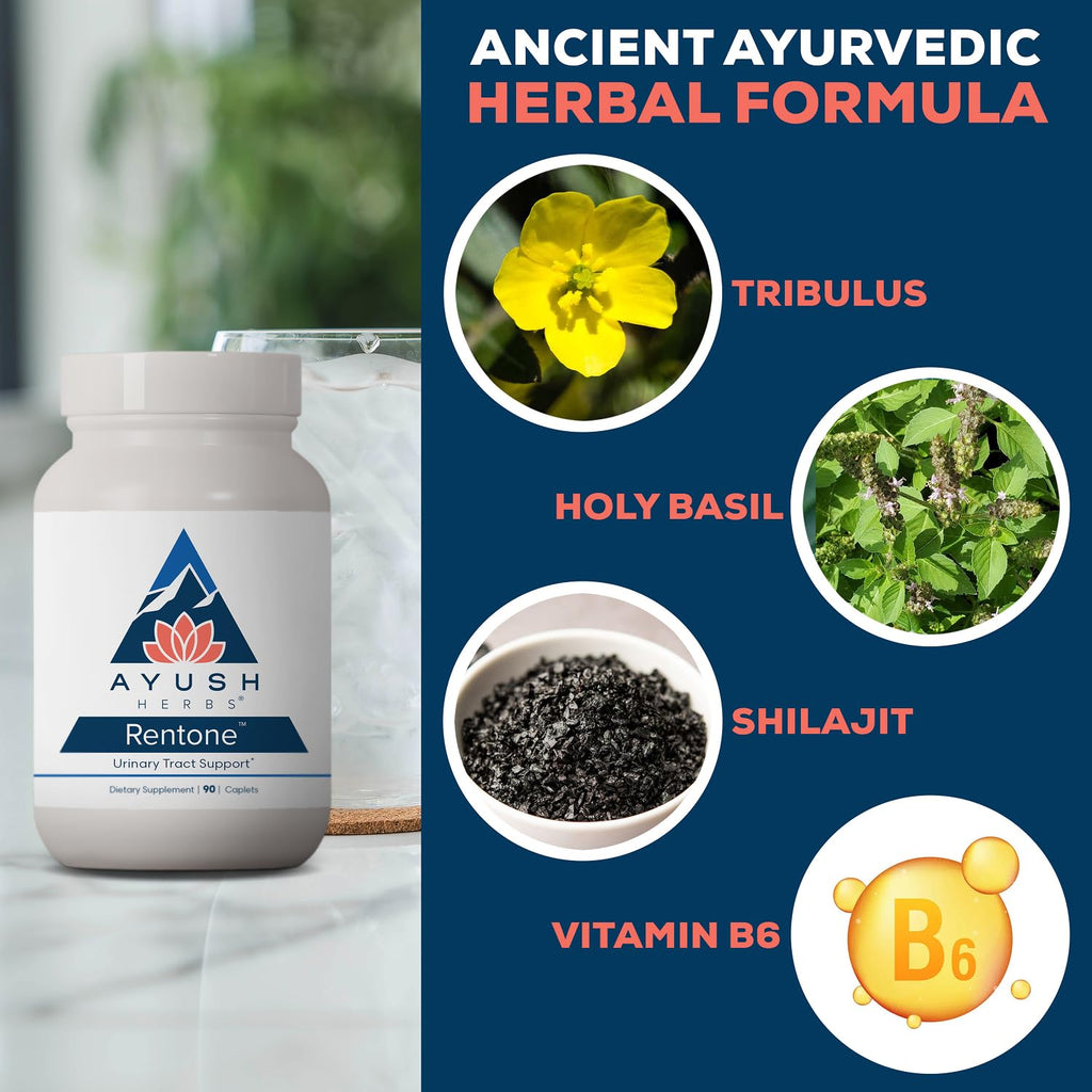 Ayush Herbs Rentone Kidney Support Supplement - 90 Caplets - image 4