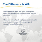 North American Herb and Spice Boneactiv Rubbing Oil - image 7