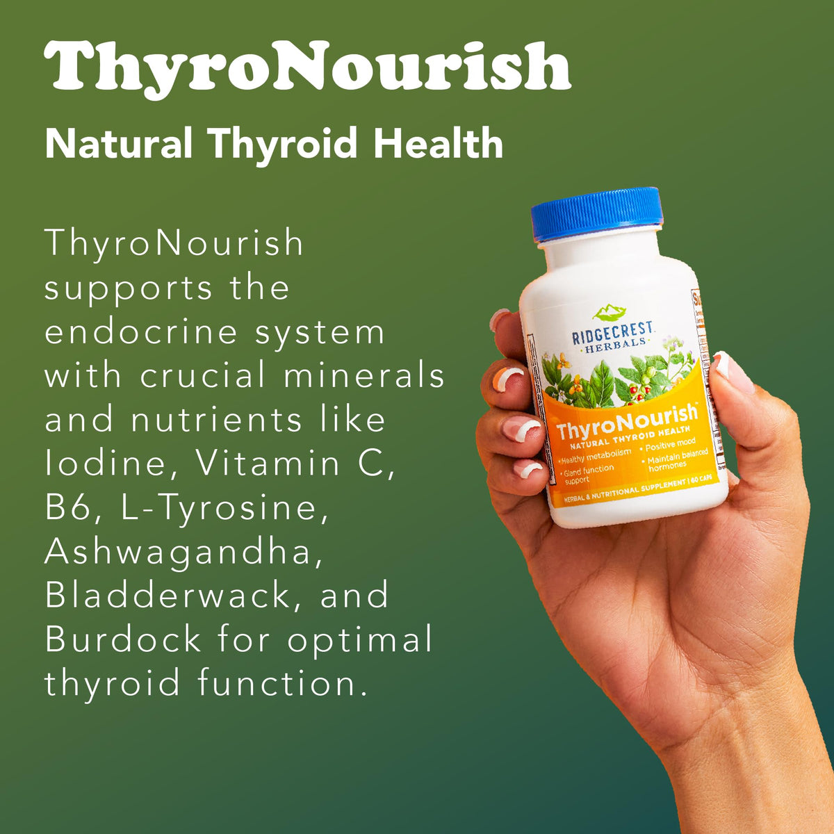 RidgeCrest Herbals ThyroNourish Thyroid Support - 60 Capsules - image 5
