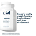 Vital Nutrients Choline 550mg - 120 Capsules - image 3