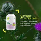 Fresh Nutrition Organic Milk Thistle Supplement 4:1 Extract - 120 Capsules - image 7