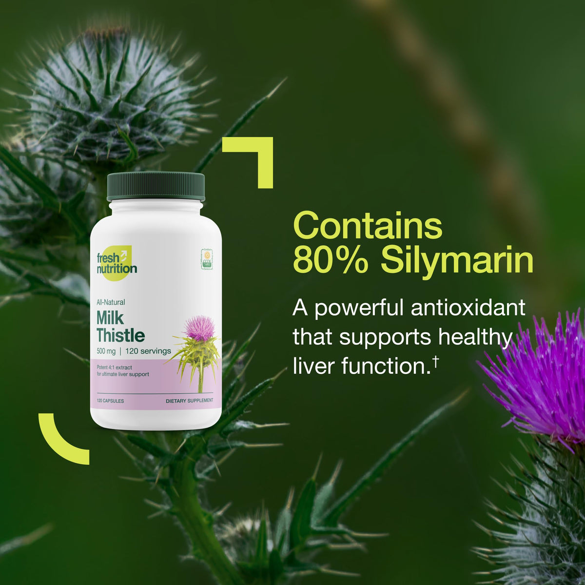 Fresh Nutrition Organic Milk Thistle Supplement 4:1 Extract - 120 Capsules - image 7