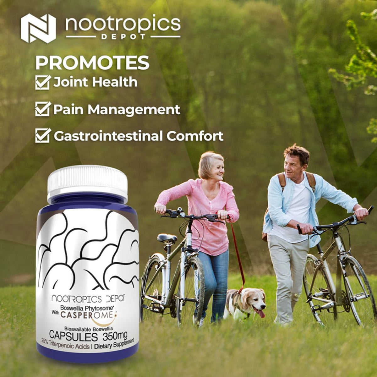 Nootropics Depot Boswellia Phytosome 350mg Joint Health - 30 Capsules - image 3