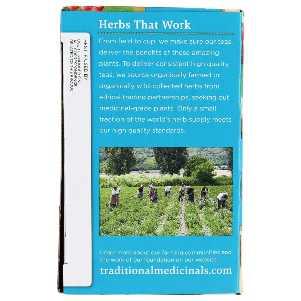 Traditional Medicinals TEA EVERYDAY DETOX - image 4