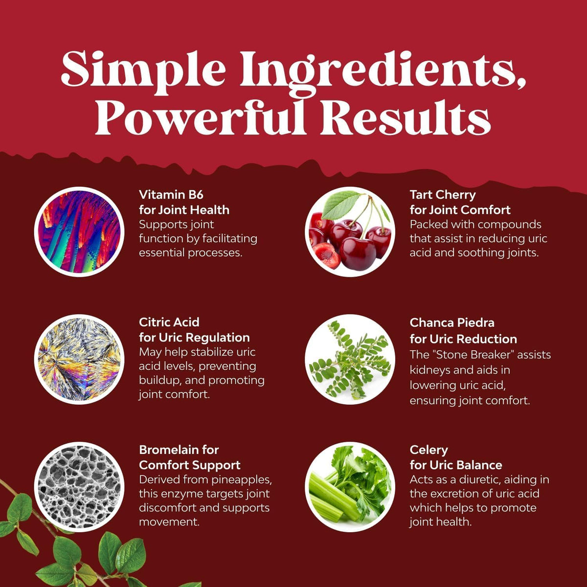 Natures Craft Uric Acid Cleanse Support with Green Coffee Beans - 120 Capsules - image 5