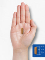 Carlyle Vitamin B-2 400mg Riboflavin - 180 Capsules - image 8