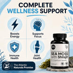 Atlantic Naturals Irish Sea Moss & Shilajit Capsules - 60 Count - image 3