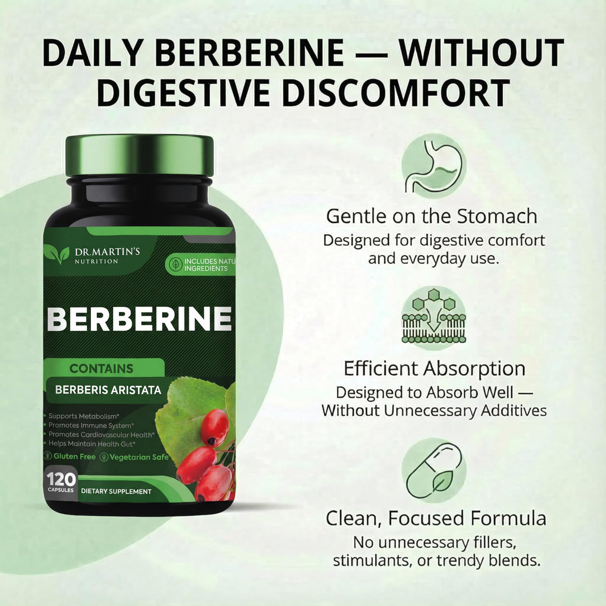 DR. MARTIN'S NUTRITION Berberine 1200mg - 120 Capsules - image 4