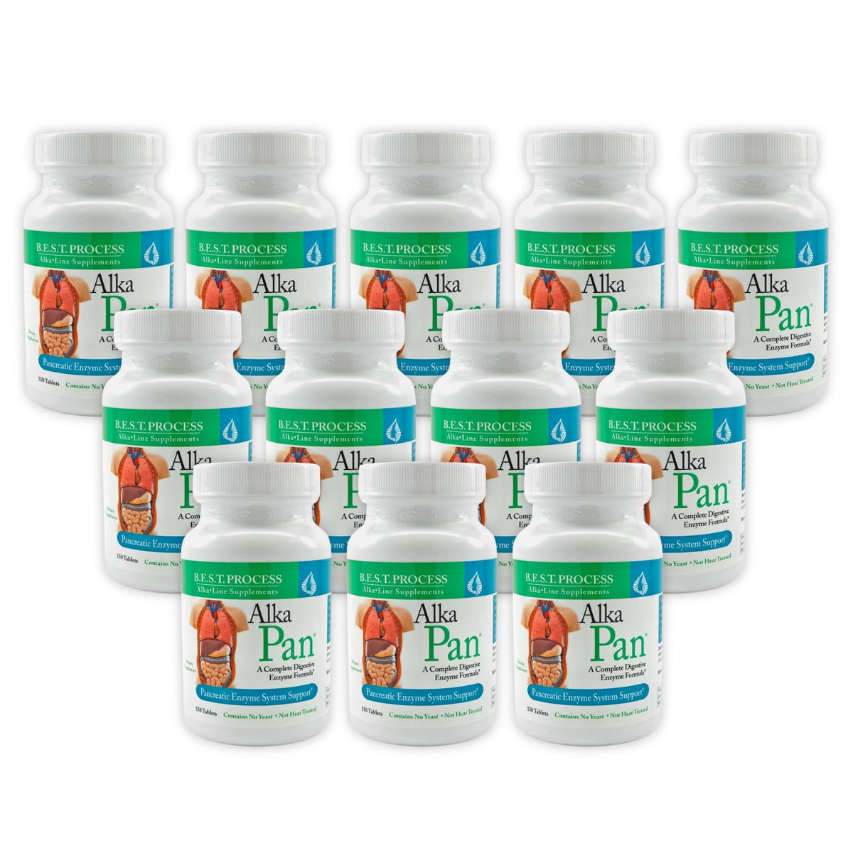 Morter Alka-Pan - Pancreatin Multi-Enzyme Formula with Ox Bile