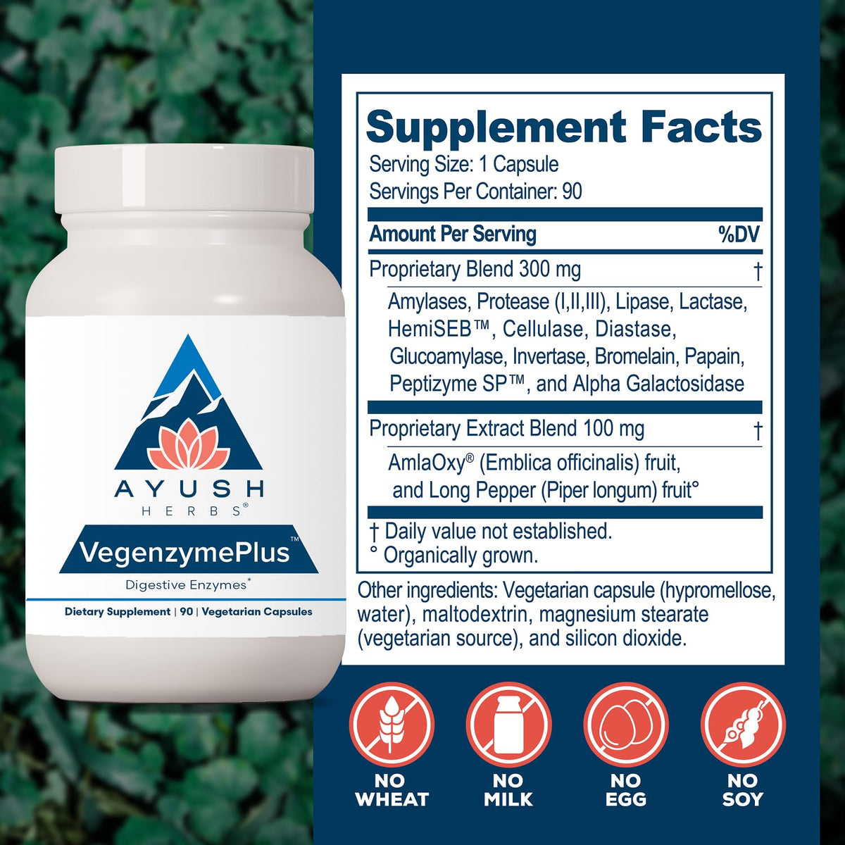 Ayush Herbs VegenzymePlus Digestive Enzymes - 90 Capsules - image 3