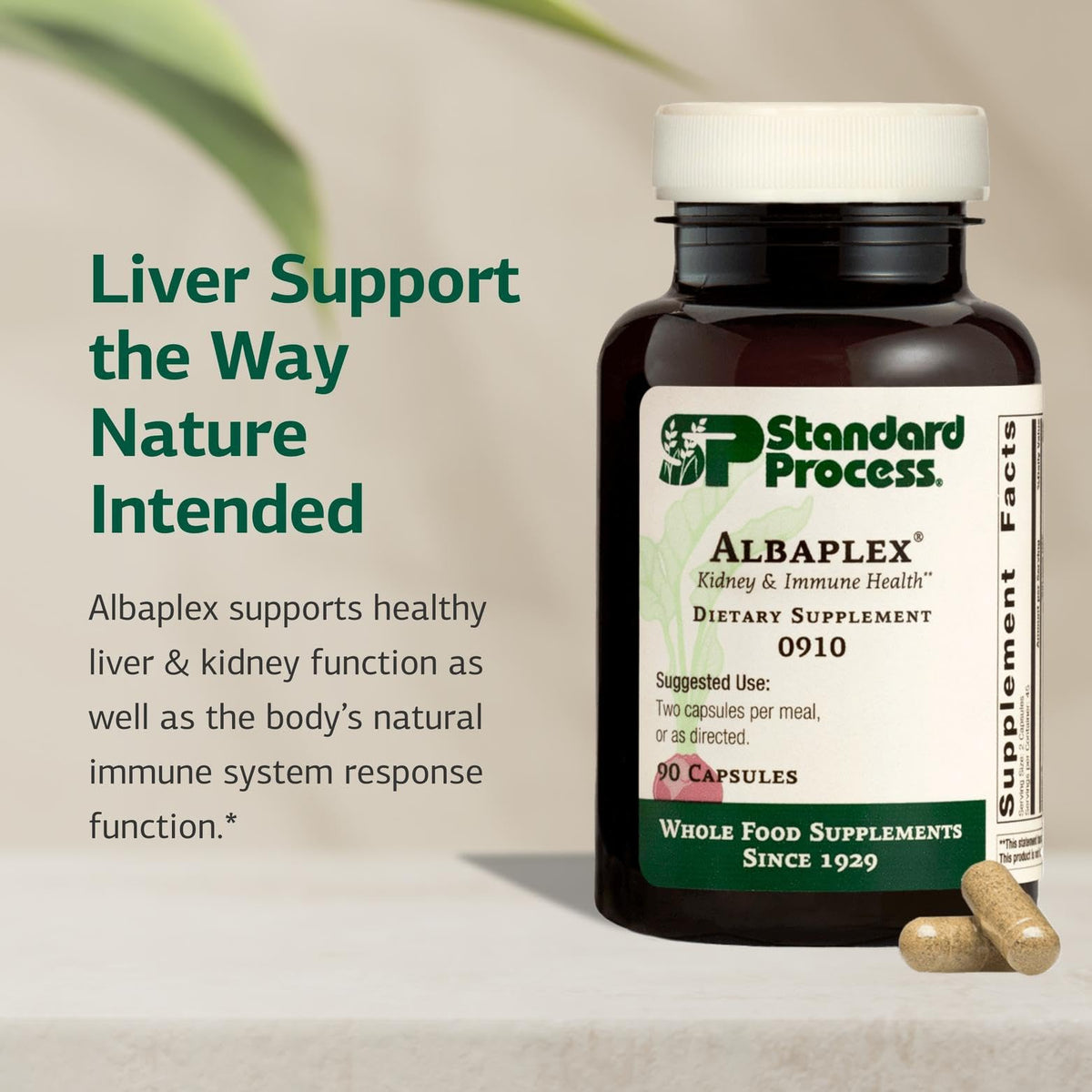 Standard Process Albaplex Kidney & Liver Supplement - 90 Capsules - image 3