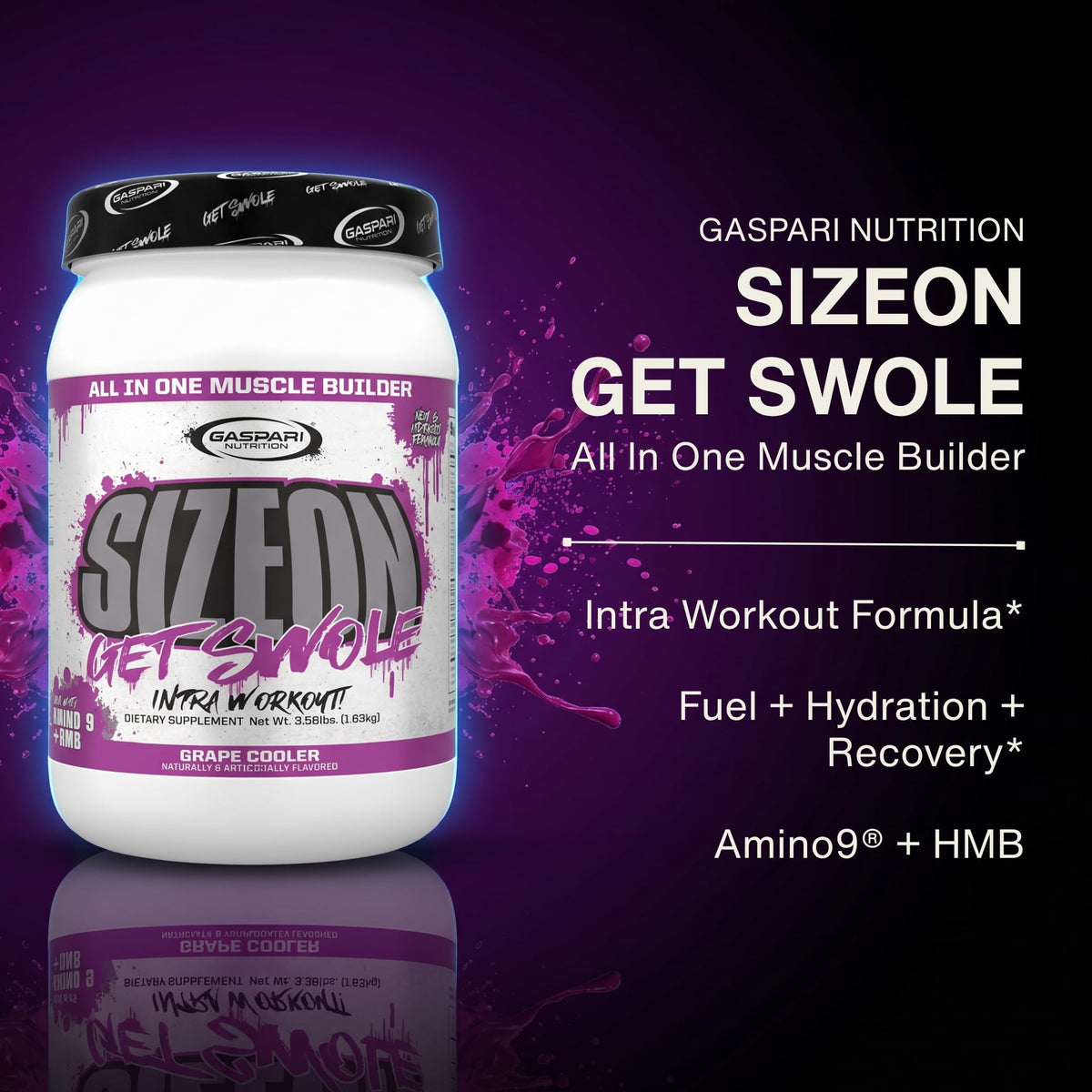 Gaspari Nutrition SizeOn
