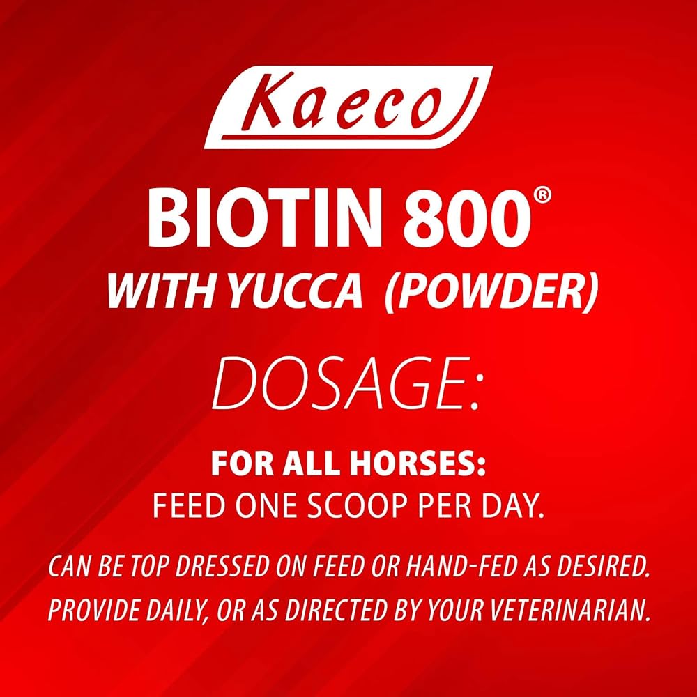 Kaeco Biotin 800 Powder - 2 lbs - image 3