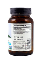 ORGANIC INDIA Gotu Kola Brain & Nervous System Support - 90 Vegetarian Capsules - image 2