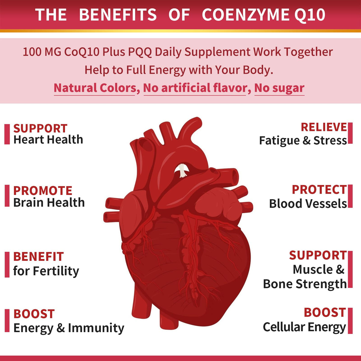 ZEBORA CoQ10 100mg Softgels - 120 Softgels - image 4