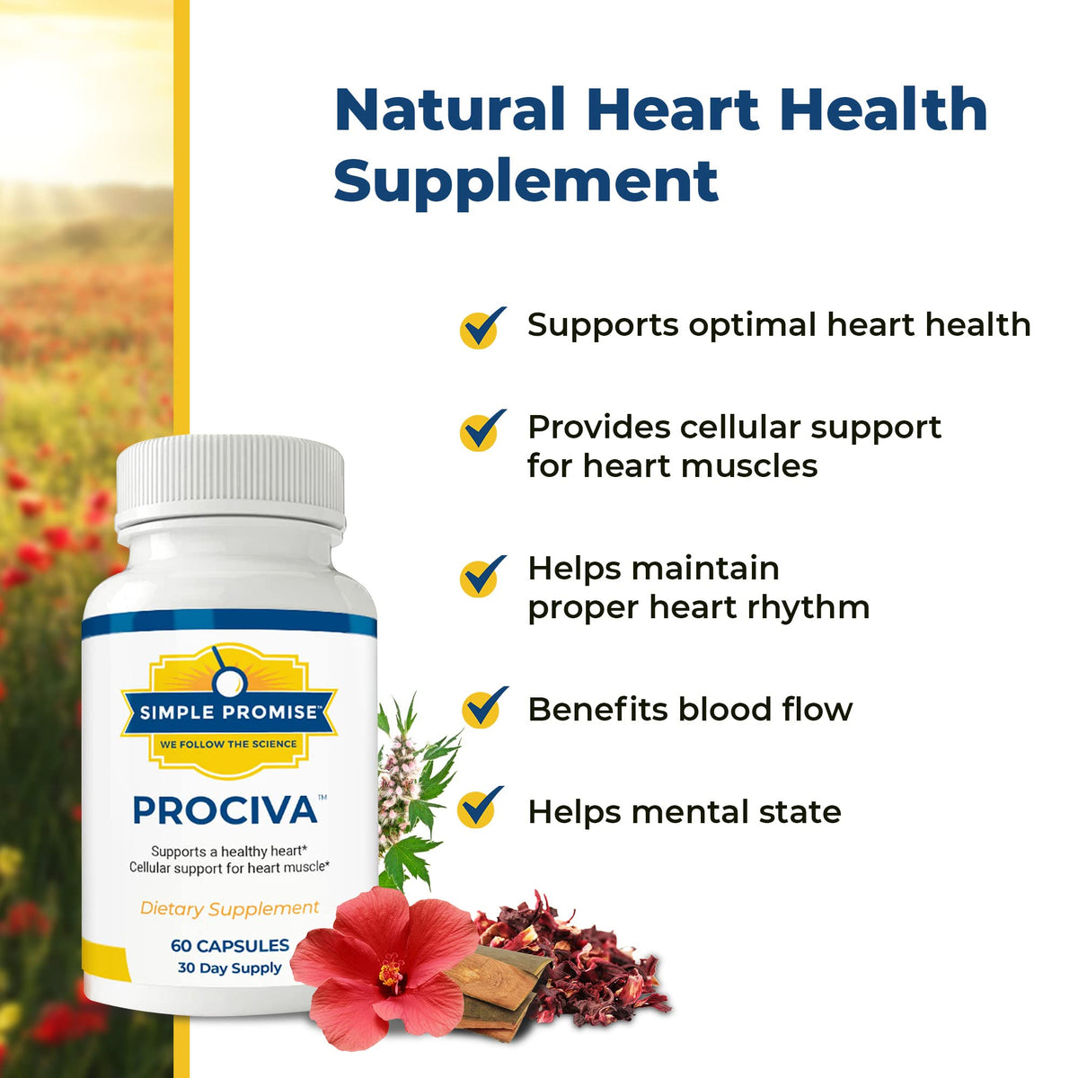 Simple Promise Prociva Arjuna Bark Extract Supplement - 60 Capsules - image 4