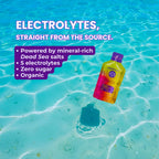 Purple Tree Organic Electrolyte Hydration Packets Zero Sugar - 15 Sticks - image 5