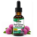 Nature's Answer Red Clover Extract Alcohol-Free Liquid - 1 Fl Oz
