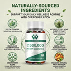 WACHRAY Advanced Hemp Gummies with Omega 3-6-9 - 240 Count - image 5