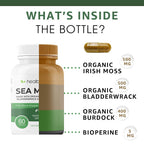 healblend Irish Moss