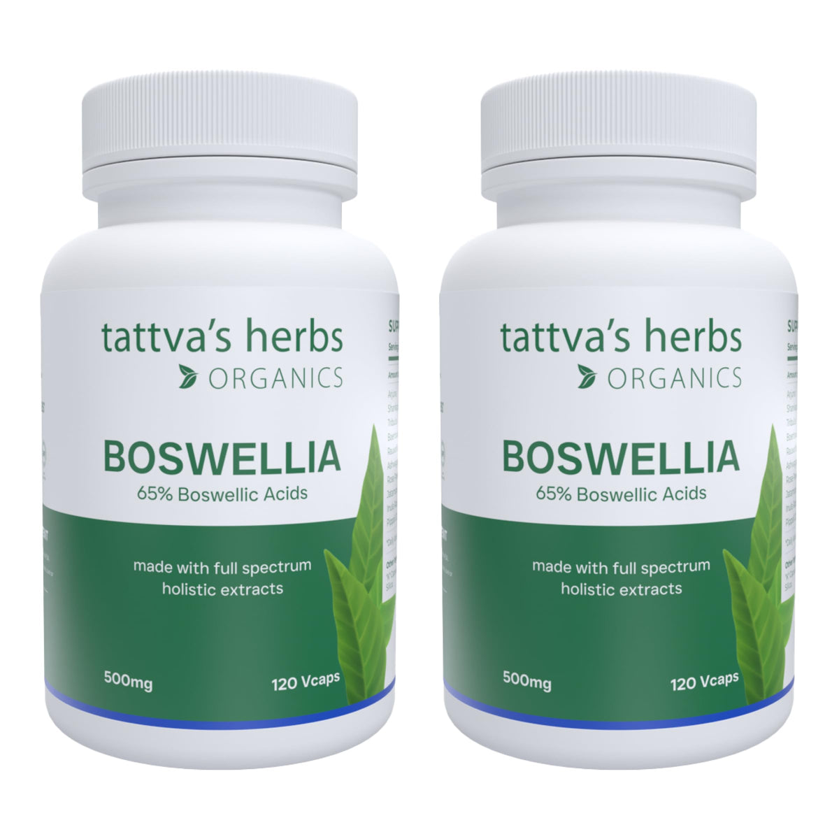 Tattva's Herbs Boswellia Serrata 500 mg Joint Support - 240 Capsules