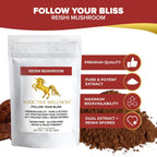 Addictive Wellness Reishi Mushroom + Spores Powder - 50g - image 3