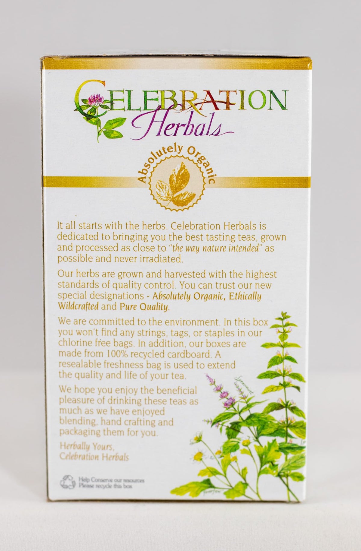Celebration Herbals Angelica Root Organic - 24 Teabags - image 6