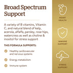 Solgar B-Complex with Vitamin C Stress Formula Tablets