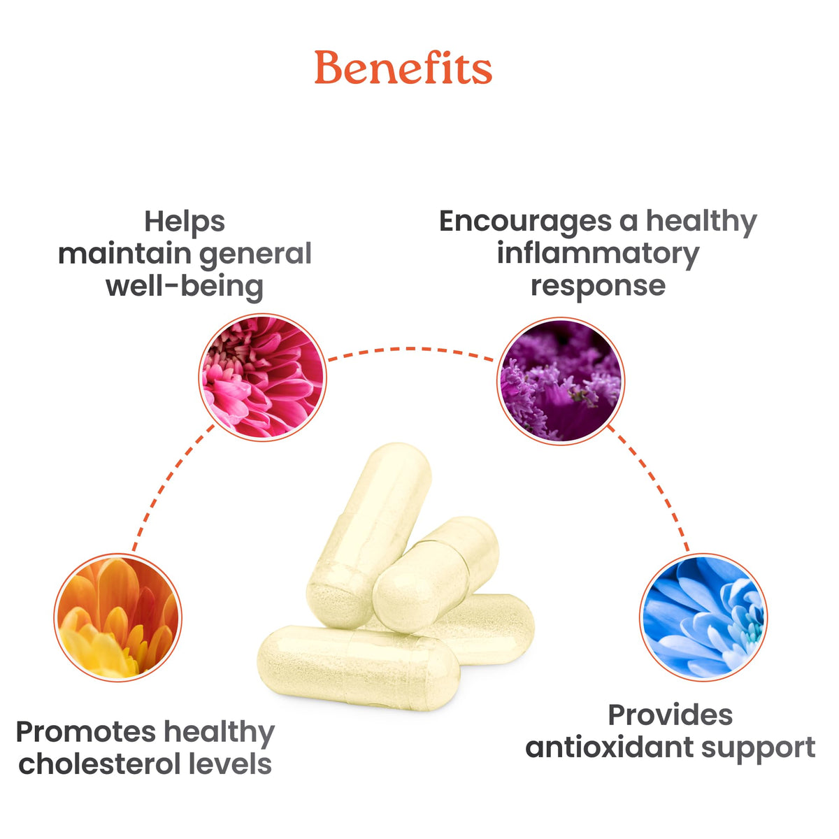 NewLife Naturals Citrus Bergamot Supplement for Metabolic Wellness - 60 Capsules - image 2