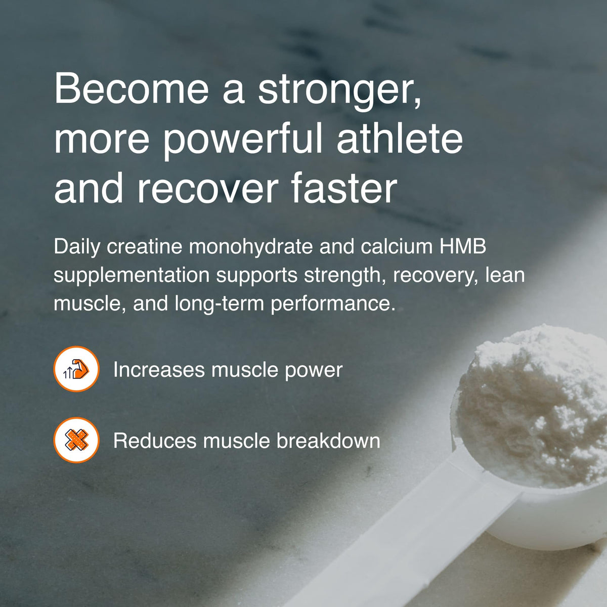 Blonyx HMB + Creatine Supplement Powder - 30-Day Supply - image 3