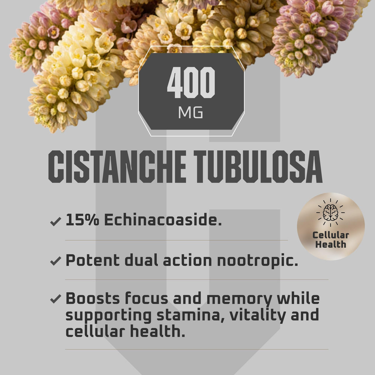 Earth Elixir Cistanche Supplement for Daily Vitality - 180 Capsules - image 2