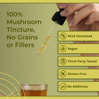 Naturealm Chaga Mushroom Liquid Tincture Drops - 100ml - image 6