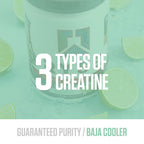 Ryse Loaded Creatine for Men & Women - 30 Servings