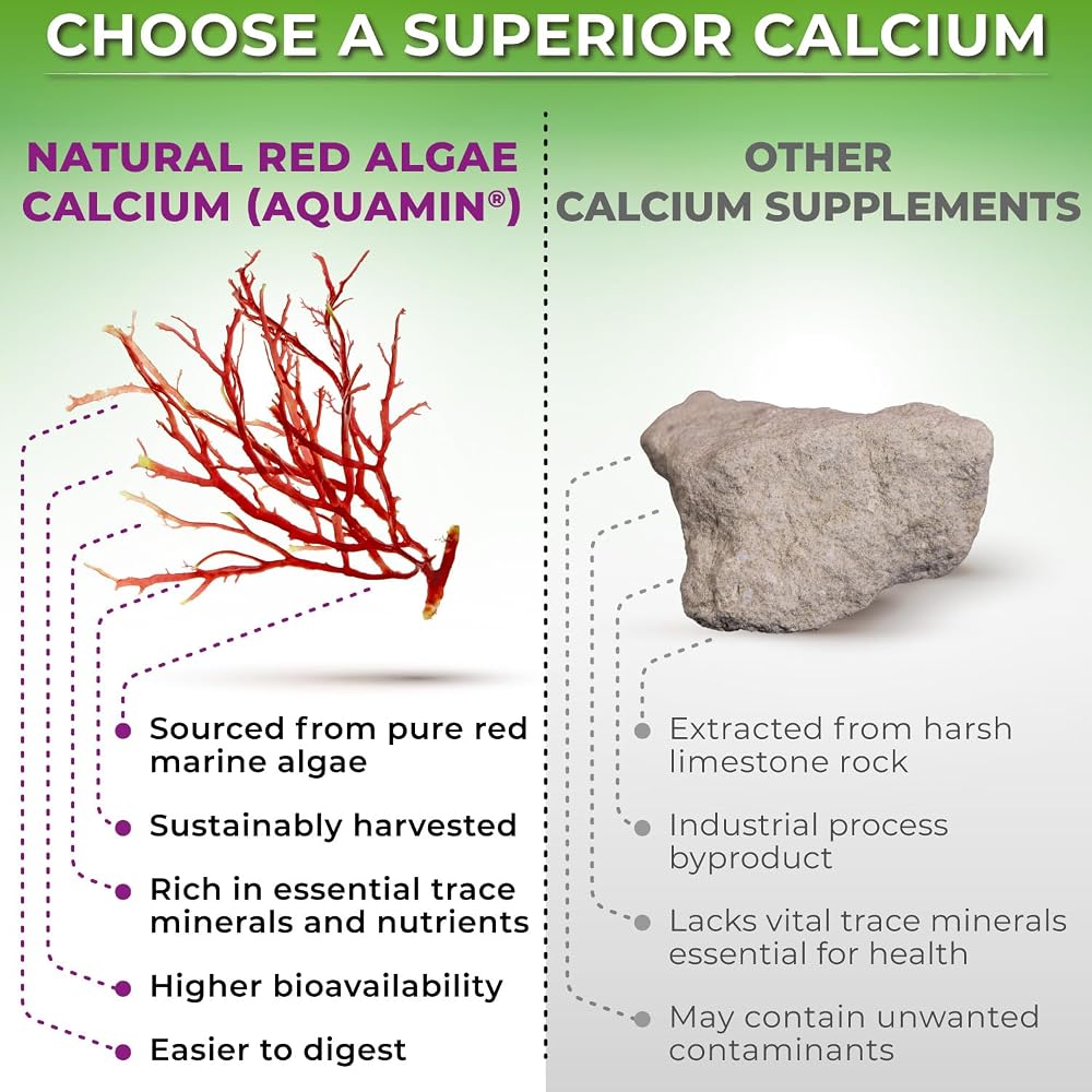 SUPPLEMENTS STUDIO Plant-Based Calcium 500mg (Aquamin) - Vegan