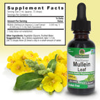 Nature's Answer Mullein Leaf Herbal Supplement - 2 x 1 Fl Oz - image 3