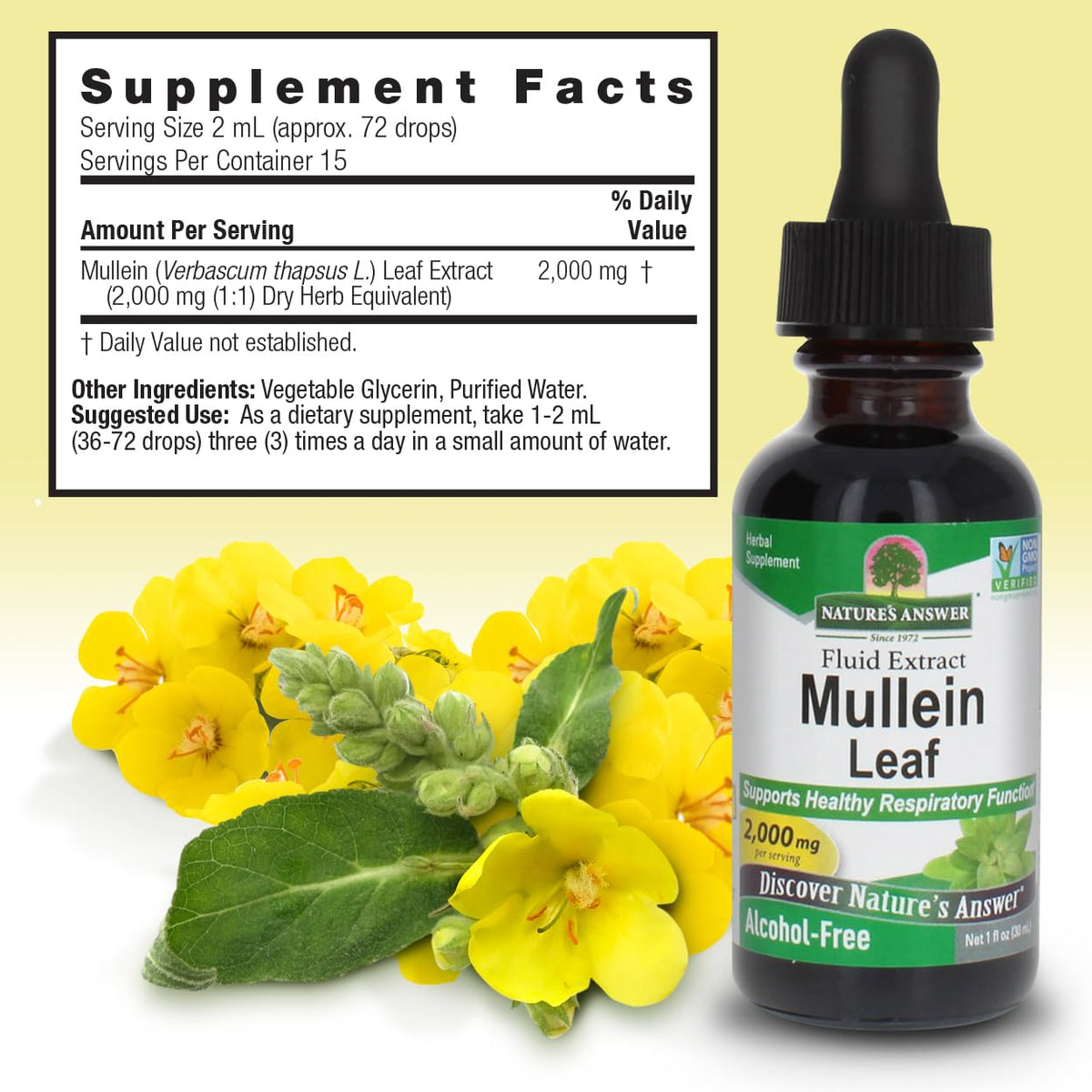 Nature's Answer Mullein Leaf Herbal Supplement - 2 x 1 Fl Oz - image 3