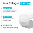 SteelFit Grass-Fed Collagen Peptides Powder Unflavored - 28 Servings - image 4