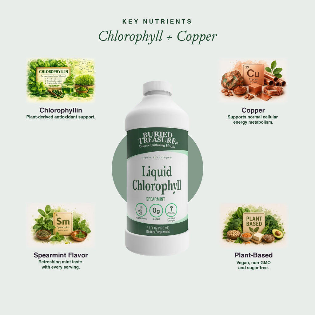Buried Treasure Liquid Chlorophyll 100 mg Digestive Support - 32 Fl Oz - image 4